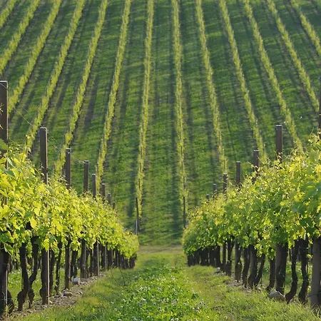 Hotel Eurorest Conegliano