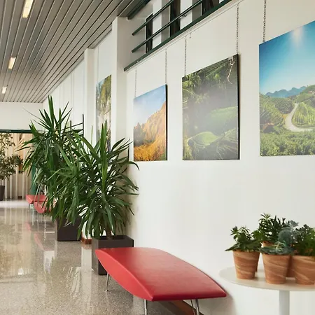 Eurorest 3* كونيليانو